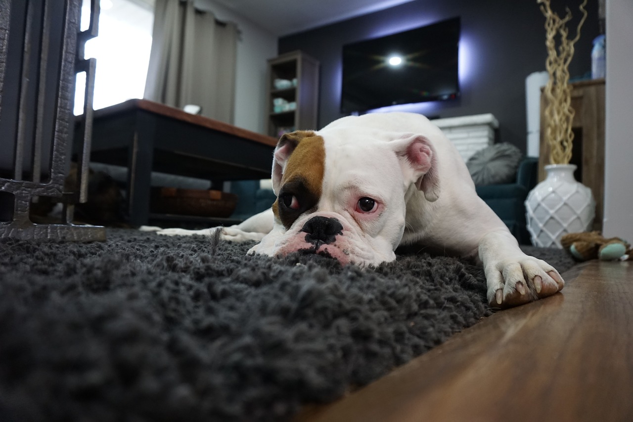 Deep Cleaning Service
